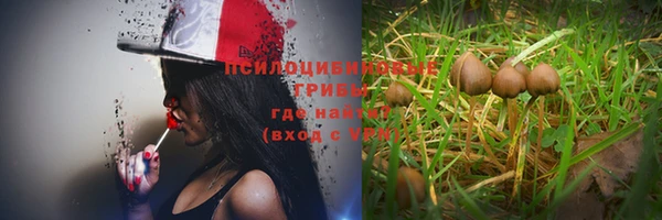 не бодяженный Володарск
