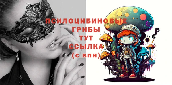 хмурый Верхний Тагил