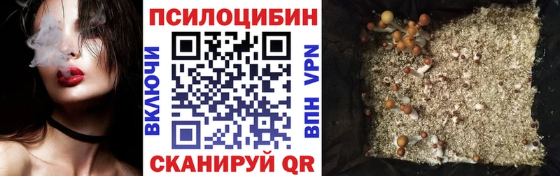 Купить  Малоярославец  Галлюциногенные грибы Psilocybe 